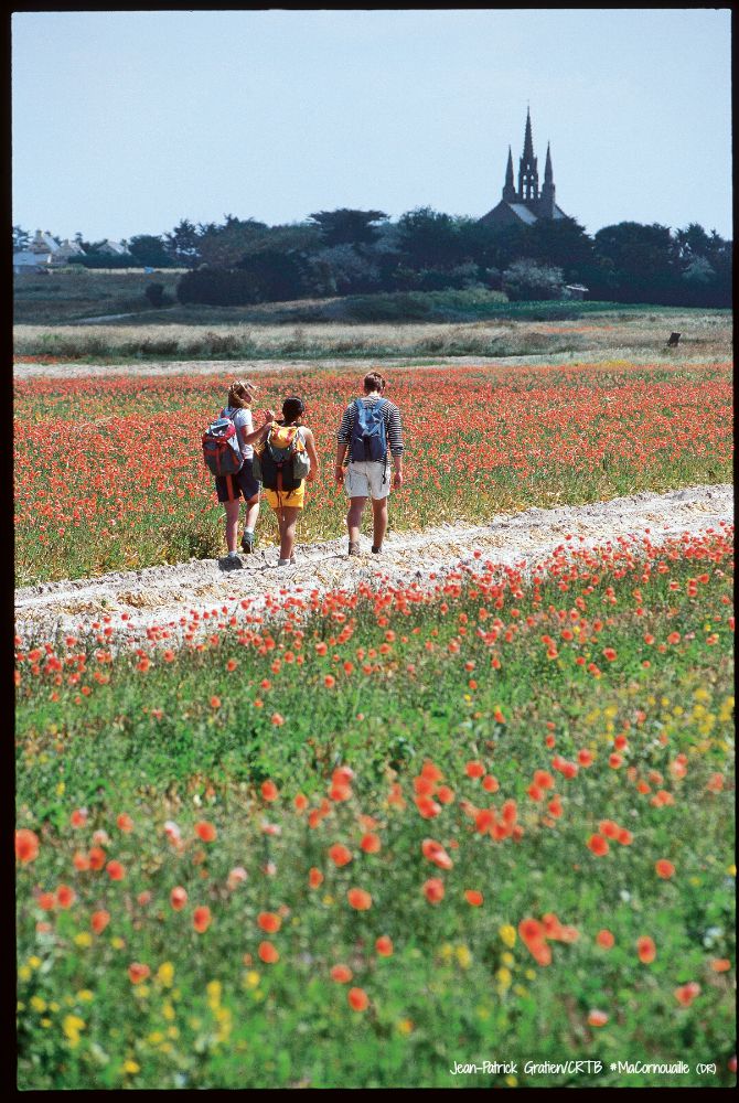 Randonnée dans un champs de fleurs, vue en arrière-plan sur la Chapelle Notre-Dame-de-Tronoën